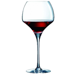 VERRE A PIED TANNIC 55CL