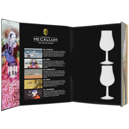 ART OF WHISKY COFFRET 2 VERRES