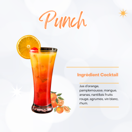 PUNCH MAISON 5L