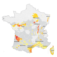 IGP / Vins de France